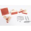 READY 2 LEARN Base 10 Block Stamps - Set of 6 - Wooden Stamps for Early Math Activities and DIY - Use for Flashcards, Worksheets, Homework and Scrapbooks view 2