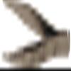 Squadron Products Fine Point Micro Tweezer view 1