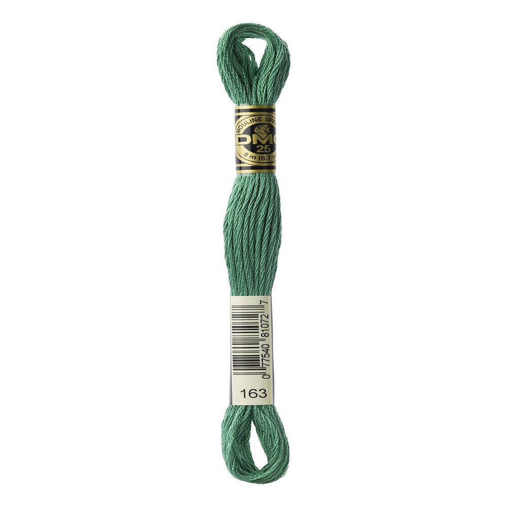 DMC 117-163 Mouline Stranded Cotton Six Strand Embroidery Floss Thread, Celadon Green, 8.7-Yard ,Pack of 12