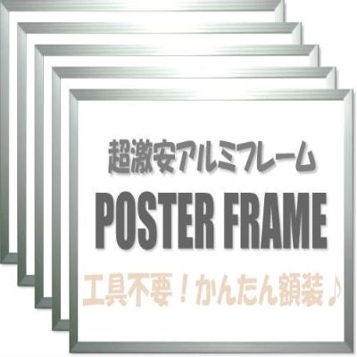 Large Value Karu! Frame A1 Silver