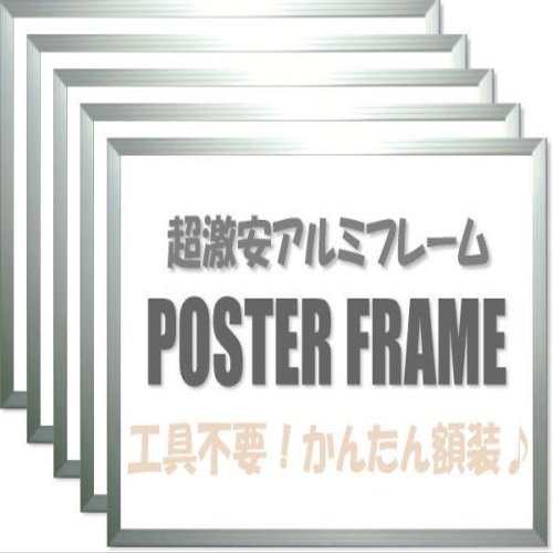 Large Value Karu! Frame A1 Silver