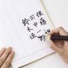 Pentel Fude Brush Pen (XFL2W) view 2