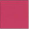 Bazzill Swiss Dot Textured Cardstock Dotted Swiss - 8.5 x 11 - Pirouette 303189 view 1