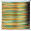 Clover Variegated Silk Threads Size 8, 20 -Yard, 1 Spool-Yellow/Green/Orange view 1