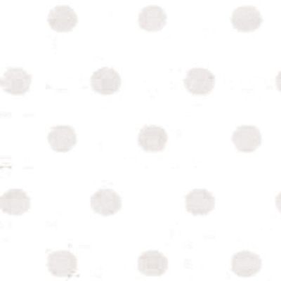 12 Inch x12 Inch Dotted Cardstock-25PK/Salt