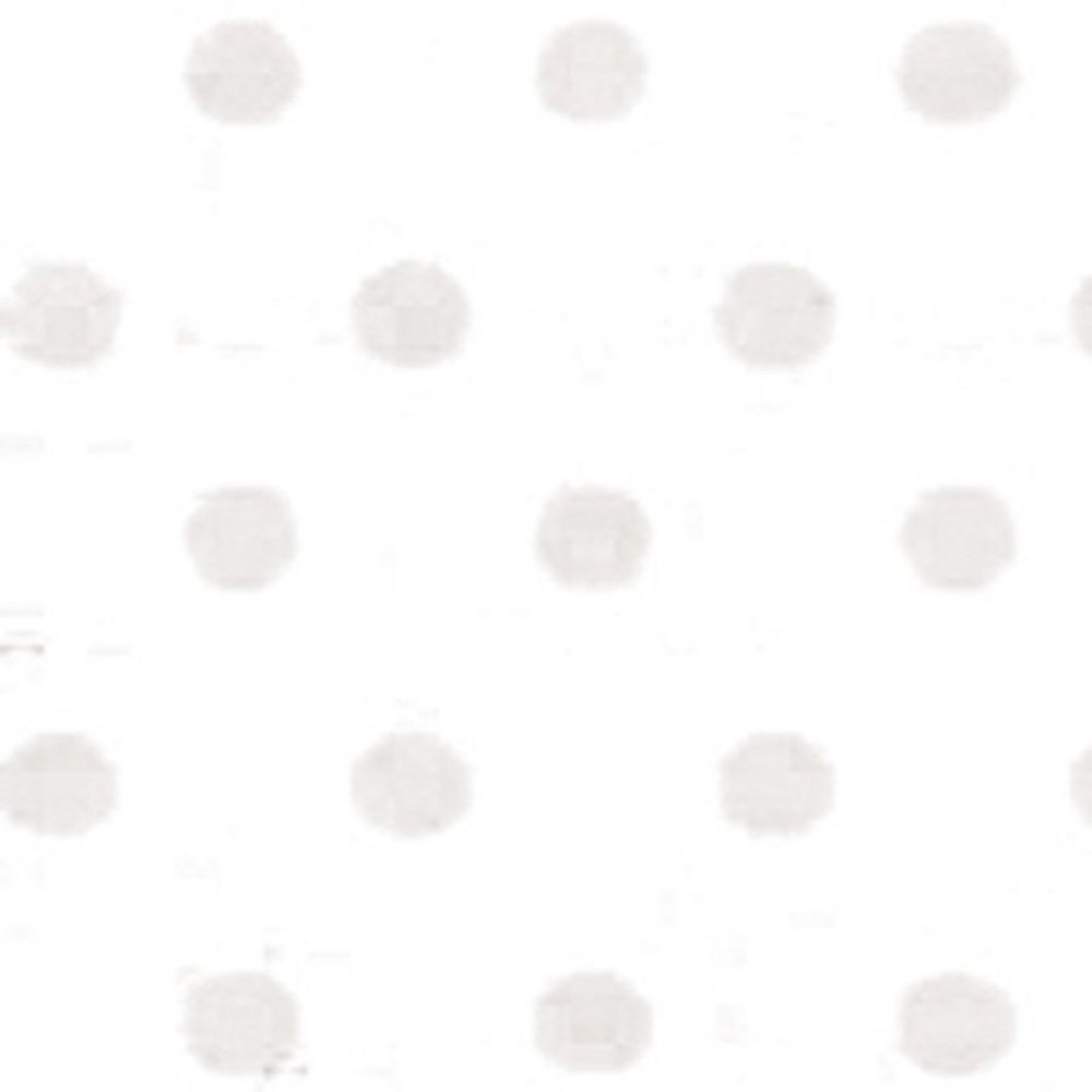 12 Inch x12 Inch Dotted Cardstock-25PK/Salt