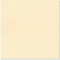Bazzill - 8.5 x 11 Cardstock - Classic Texture - Sawdust