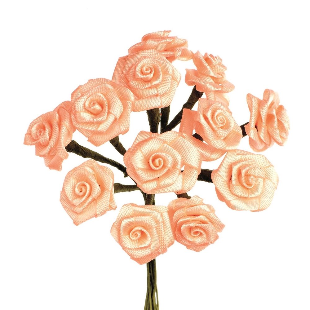 Glorex Dior Roses 12 Flowers Design Plastic Coral, 12.5 x 14 x 4 cm
