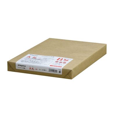 Nagatoya -856 OA B5 2500390856