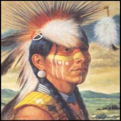 DSC ART Pow Wow Dancer Paper Tole 3D Decoupage Craft Kit Size 8x10 inches