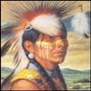 DSC ART Pow Wow Dancer Paper Tole 3D Decoupage Craft Kit Size 8x10 inches view 1