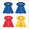 Paper House Productions ST-2070E Photo Real Stickypix Stickers, 2" x 4", Ribbons view 1