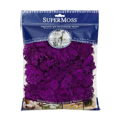 SuperMoss (23146) Reindeer Moss Soft Preserved Moss for Home Decor, Crafts, Terrariums, Floral Design, and Wedding Decorations, 120 cu in, Purple