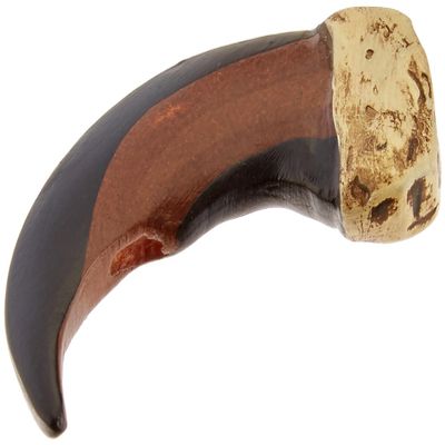 Tandy Leather Cast Resin Bear Claw Small 53990-00
