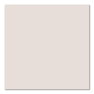 DIXON TICONDEROGA - CANSON 100510136 Mi Ten Bd 16X20 Number 120 Pearl Gray