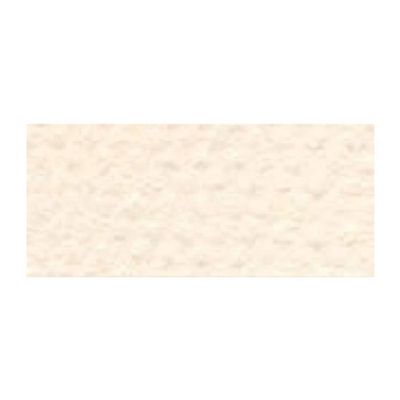 Canson Mi-Tientes Board - 16" x 20" Sheet, Ivory