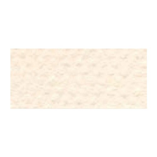 Canson Mi-Tientes Board - 16" x 20" Sheet, Ivory