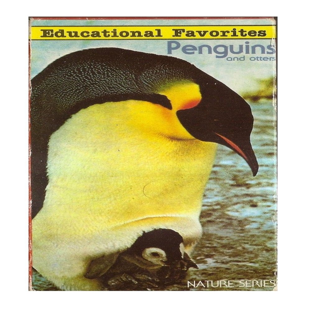 Penguins and Otters Nature Series VHS