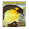 Penguins and Otters Nature Series VHS view 1