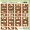 K&Company Engraved Garden Alphabet Adhesive Chipboard view 1