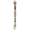 DMC 6-Strand Embroidery Cotton Floss, Light Mocha Beige view 1