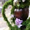 SuperMoss (22710) MossVine Garland, Fresh Green, 6ft view 3