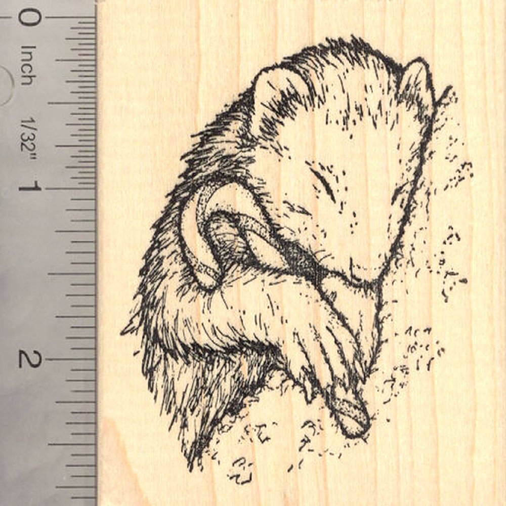 Ferret with Candy Cane (Carmel Corn) Rubber Stamp