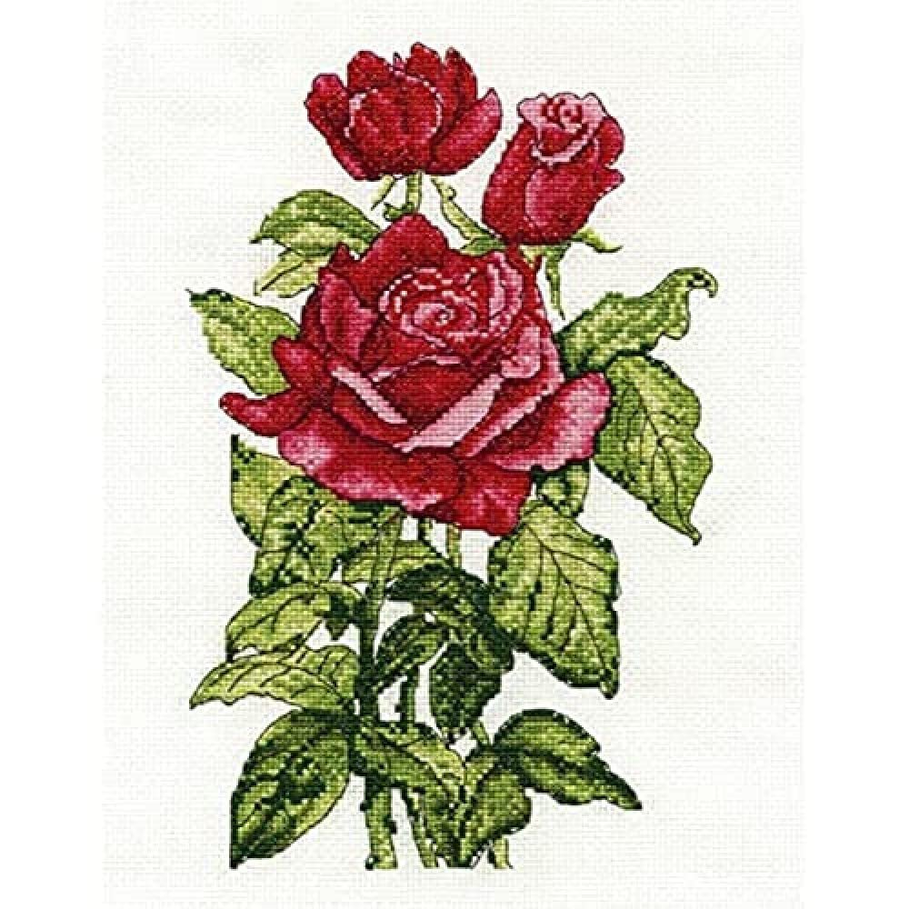 DMC Cross Stitch Kit - Flowers - Roses