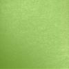 LUXPaper 8.5" x 11" Cardstock | Letter Size | Fairway Metallic | 105lb. Cover (192lb. Text) | 250 Qty view 1