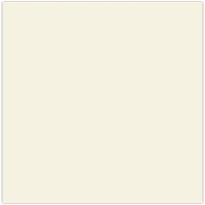 LUXPaper 8.5" x 11" Cardstock | Letter Size | Natural | 80lb. Cover | 1,000 Qty