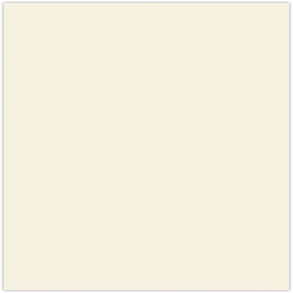 LUXPaper 8.5" x 11" Cardstock | Letter Size | Natural | 80lb. Cover | 1,000 Qty