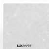 LUXPaper 8.5 x 11 Cardstock for Crafts and Cards in 65 lb. Baby Parchment, Scrapbook Supplies, -1000 (Light Blue) view 4