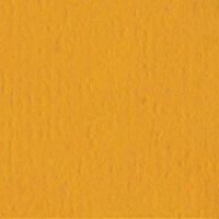 Bazzill Orange Peel Texture Cardstock Orange Peel - 8.5 x 11 - Butterscotch 300064