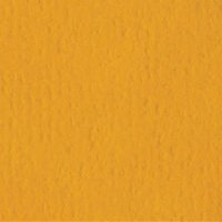 Bazzill Orange Peel Texture Cardstock Orange Peel - 8.5 x 11 - Butterscotch 300064