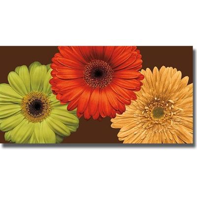 Artistic Home Gallery Daisy Trio by Lindsay Blake Oversize Premium Stretched Canvas (Ready-to-Hang)