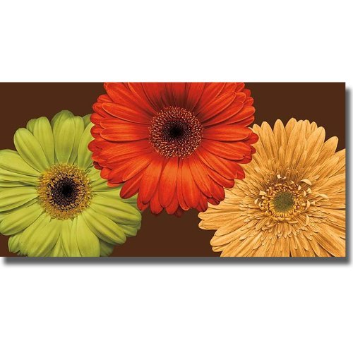 Artistic Home Gallery Daisy Trio by Lindsay Blake Oversize Premium Stretched Canvas (Ready-to-Hang)