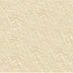 Arches Cover Printmaking Paper - 10 Pack 250 gr 22x30" - Cream