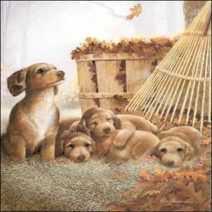 DSC Autumn Playtime Paper Tole 3D Decoupage Craft Kit Size 8x10