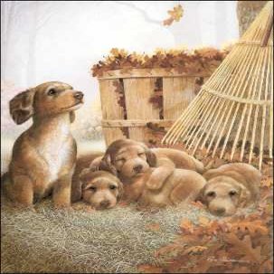 DSC Autumn Playtime Paper Tole 3D Decoupage Craft Kit Size 8x10