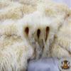 Faux Fur Long Pile Mongolian Sheep Ivory Fabric / 54" Wide/Sold by The Yard view 3
