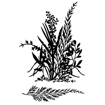 Woodware Craft Collection Woodware Stamp, 3.5 by 5.5-Inch, Ferns