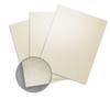 ASPIRE Petallics Autumn Hay Card Stock - 8 1/2 x 11 in 98 lb Cover Metallic C/2S 200 per Package view 1