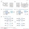 Eduard Accessories EX072 Model Building Accessory P-38 Lightning view 3
