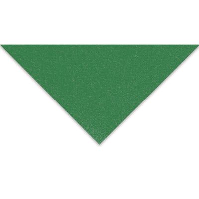 Fabriano Tiziano Paper - 19-5/8" x 25-1/2", Billard Green, Single Sheet