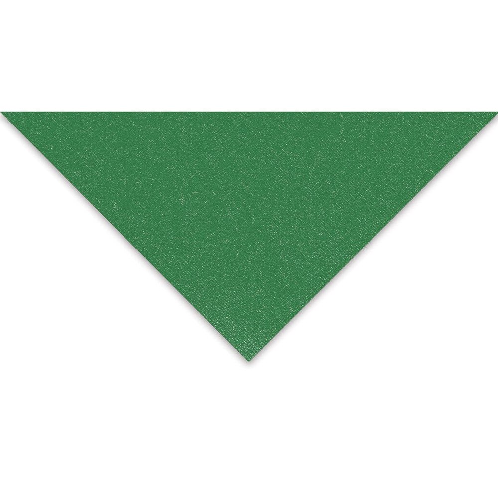 Fabriano Tiziano Paper - 19-5/8" x 25-1/2", Billard Green, Single Sheet
