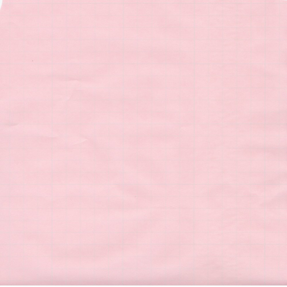 Escent Color Grid Paper, Medium Thickness, 98.4 ft (30 m) Roll, Pink 840004