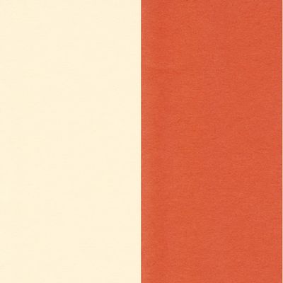 Escent 290004 Double-Sided Colored Drawing Paper, 4 Pieces, White Brown & Brown, 100 Sheets