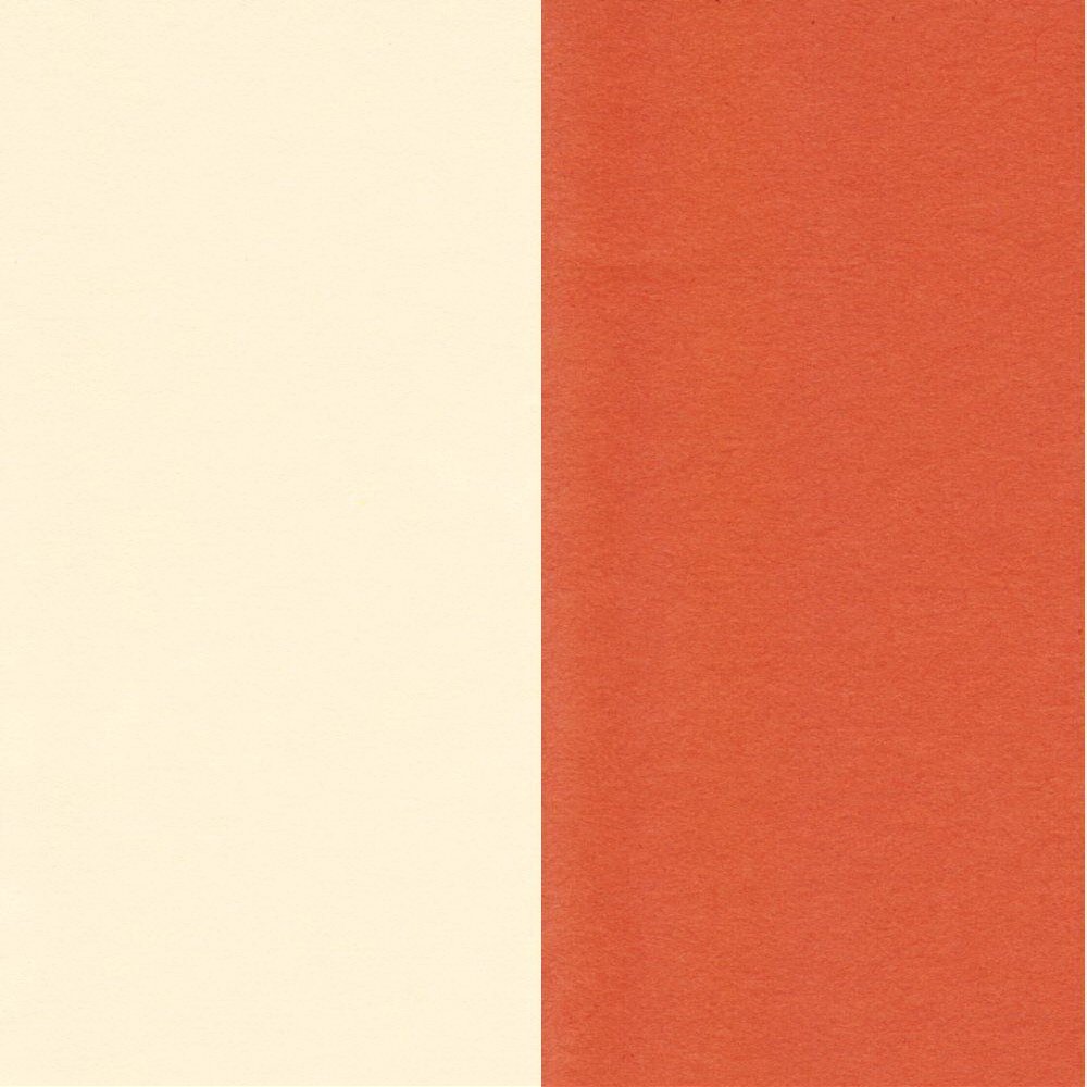 Escent 290004 Double-Sided Colored Drawing Paper, 4 Pieces, White Brown & Brown, 100 Sheets