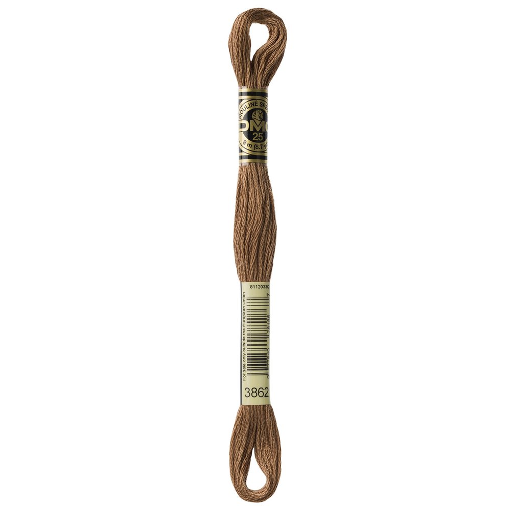 Dmc 6-Strand Embroidery Cotton 8.7yd-Dark Mocha Beige