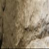 Woodland Scenics Undercoat 8 oz-Earth view 2